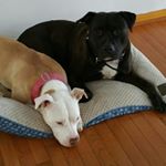 Profile Picture of Nathan (@nathniel_friedel) on Instagram