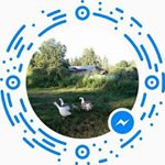 Profile Picture of Aurelio Pedraza (@aurelio.pedraza.71) on Instagram