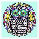 Profile Picture of Haley Castillo (@haley_castillo_) on Instagram