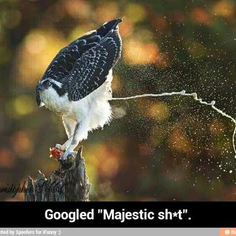 Profile Picture of Kyle Ouellette (@chinesHeartFart) on Twitter