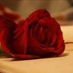 Profile Picture of Margot Drabicki (@margotdrabicki) on Instagram