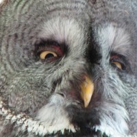 Profile Picture of Mark Peace (@mark-peace-16) on Quora