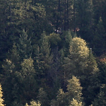 Profile Picture of Dennis clark (@clarkdesu) on Flickr