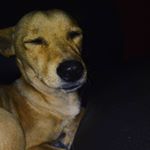 Profile Picture of Gilberto Zapata (@gilbert_141206) on Instagram