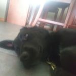 Profile Picture of Tyler leis (@tyler_024) on Instagram