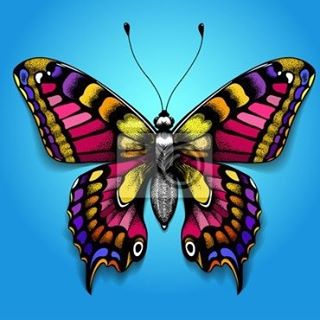 William Shilling - Facebook Profile Picture of William Shilling (@William-Shilling) on Facebook