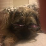 Profile Picture of Katie Etheridge (@etheridge.katie) on Instagram