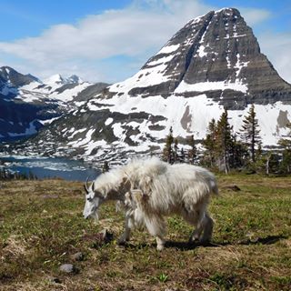 Profile Picture of Carla Farnstrom (@carla.farnstrom) on Facebook