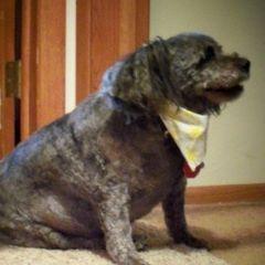 Profile Picture of Pam Halverson Ford (@pam.halverson.for) on Tiktok