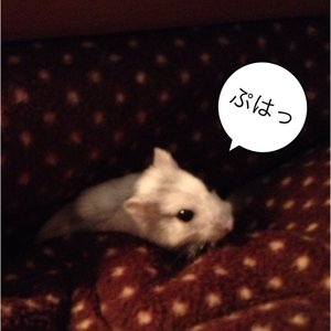 Profile Picture of Haryu (@haryu0320) on Myspace