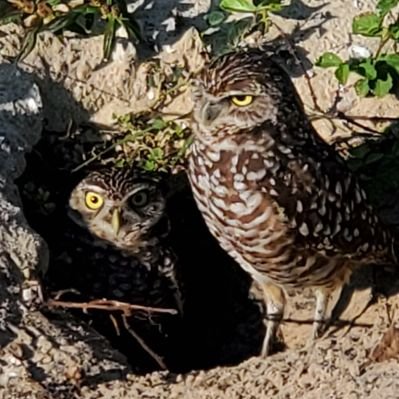 Profile Picture of Mackenzie James (@MacJames321) on Twitter