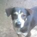 Profile Picture of Jerome Fee (@jerome.fee.3) on Facebook