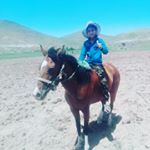 Profile Picture of amir_nadan (@amir_moghadam.87) on Instagram
