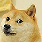 Profile Picture of Andrea Vander Reyden (@Andrea1986v) on Flickr