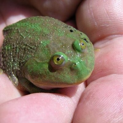 Profile Picture of Reichel Mike (@mike_reichel) on Twitter