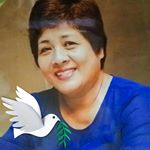 Yolanda Ferrer - Instagram Profile Picture of Yolanda Ferrer (@yolanda.ferrer.589) on Instagram