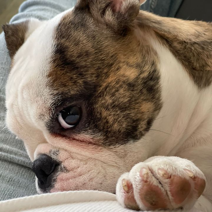 Profile Picture of Hugo Baez (@hugobaez01) on Tiktok