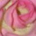 Profile Picture of Claudette Silva (@claudette.silva.564) on Facebook
