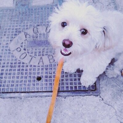 Profile Picture of David Rizo (@davidrizo8) on Twitter