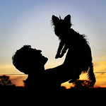 Marcos Wilson Vieira - Flickr Profile Picture of Marcos Wilson Vieira (@Marcos Wilson) on Flickr