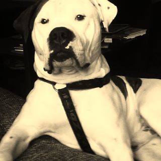 Profile Picture of Seraf Thomas (@seraf.thomas) on Facebook