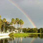 Profile Picture of Danielle Jurin (@daddle) on Instagram