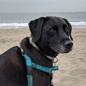 joedotta - Tiktok Profile Picture of joedotta (@joedotta) on Tiktok