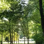 Profile Picture of Claudia Stapel (@claudia.stapel.315) on Facebook