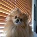 Profile Picture of lisa riggio (@maxmonica) on Pinterest