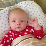 Profile Picture of Carl Brink (@linus.pa.linjen) on Instagram