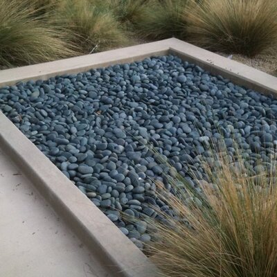 Profile Picture of Erin Clare McMahon Nguyen (@erincmcnguyen) on Twitter