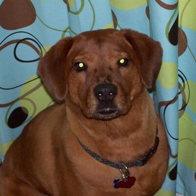 LaKisha Bryant - Twitter Profile Picture of LaKisha Bryant (@favoursmama) on Twitter