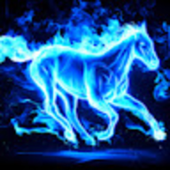 Profile Picture of Karly Hemmeter (@karlyhemmeter) on Poshmark