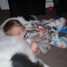 Profile Picture of Jonathan Mayfield (@yippekiyah87) on Twitter