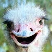 Profile Picture of Michael Puebla (@michael-puebla) on Quora