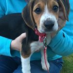 Profile Picture of Colin McQuaid (@mcquaidcolin) on Instagram