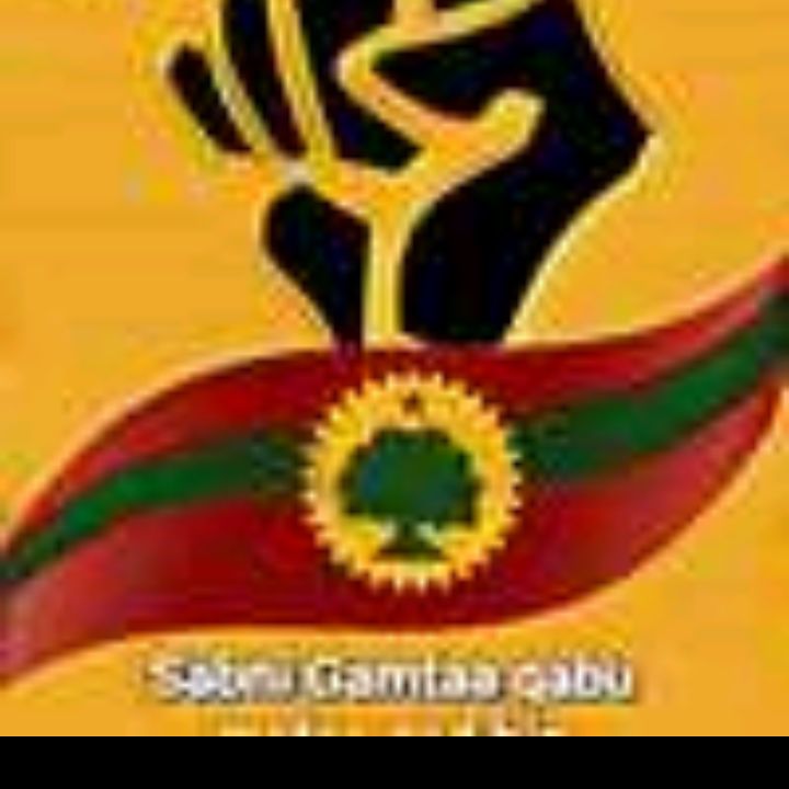 Profile Picture of jeylan (@jeylanmuhammad) on Tiktok