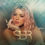 Profile Picture of Shakira Brasil (@shakirabr) on Instagram
