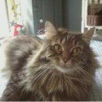 Profile Picture of Megan Mohr (@morganm19) on Instagram