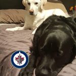 Profile Picture of Lance Ludwig (@l.ludwigmb) on Instagram