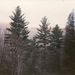 Profile Picture of Scott Cornwall (@scottcornwall73) on Pinterest