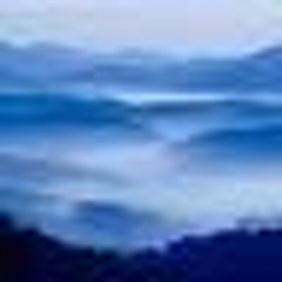 Profile Picture of Marilyn Duncan (@marilynduncan51) on Twitter