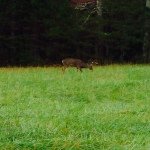 Profile Picture of Randy Boggs (@randy_boggs) on Instagram