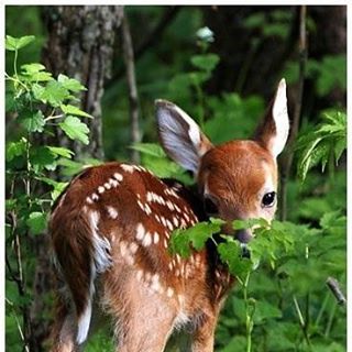 Profile Picture of Darryl Byers (@Darryl-Byers) on Facebook