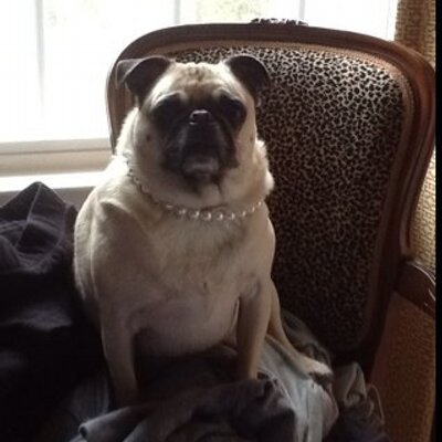 Profile Picture of Julia Phares (@findjuliap) on Twitter