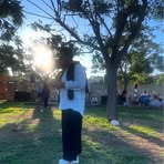 Profile Picture of Vittorio Caldarella (@vittorio.caldarella.39) on Facebook