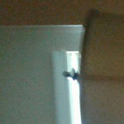 Will Franklin - Youtube Profile Picture of Will Franklin (@willfranklin7986) on Youtube