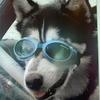 Profile Picture of MICHAEL CREEK (@michaelscreek) on Tiktok