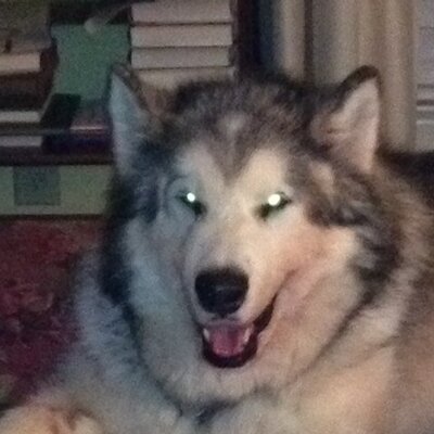 Profile Picture of P Taylor (@31echo70P) on Twitter