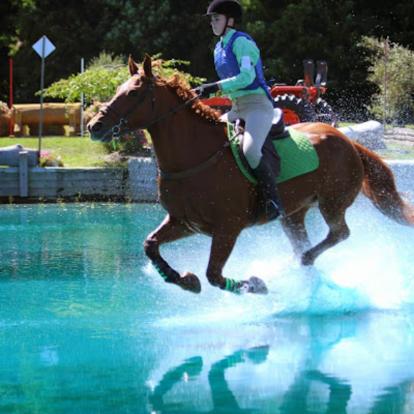 Profile Picture of Pamela Baldwin (@pamelabaldwi923) on Poshmark